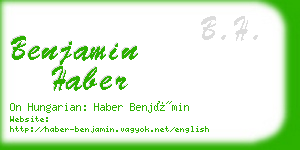 benjamin haber business card